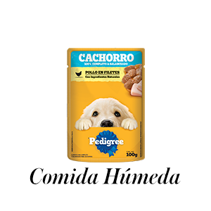  Comida Húmeda Pedigree